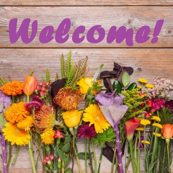 WELCOME to Mae's Closet! - Picture 3 of 3